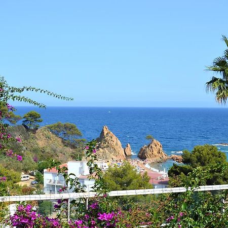 Blanca Paloma - Holiday House Villa Tossa de Mar Bilik gambar